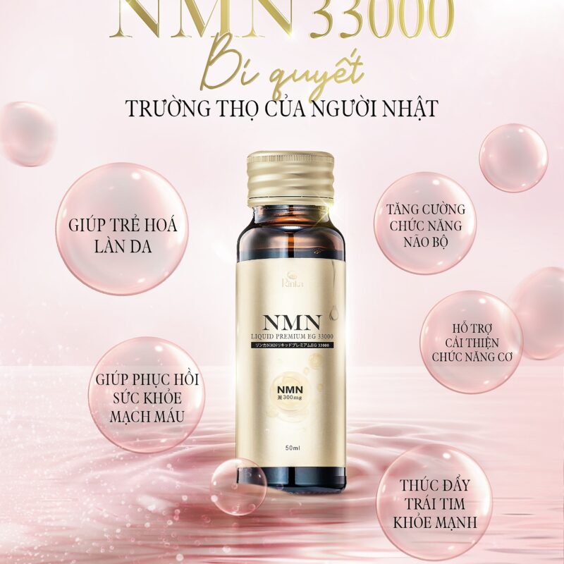 472747669 122105006972708701 2739803996803232882 n